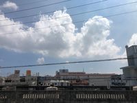 レオパレスパームサイド 眺望