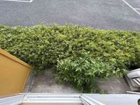 leopalace Hirose Balcony