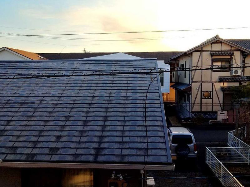 leopalace Y HAMASAKI Tầm nhìn