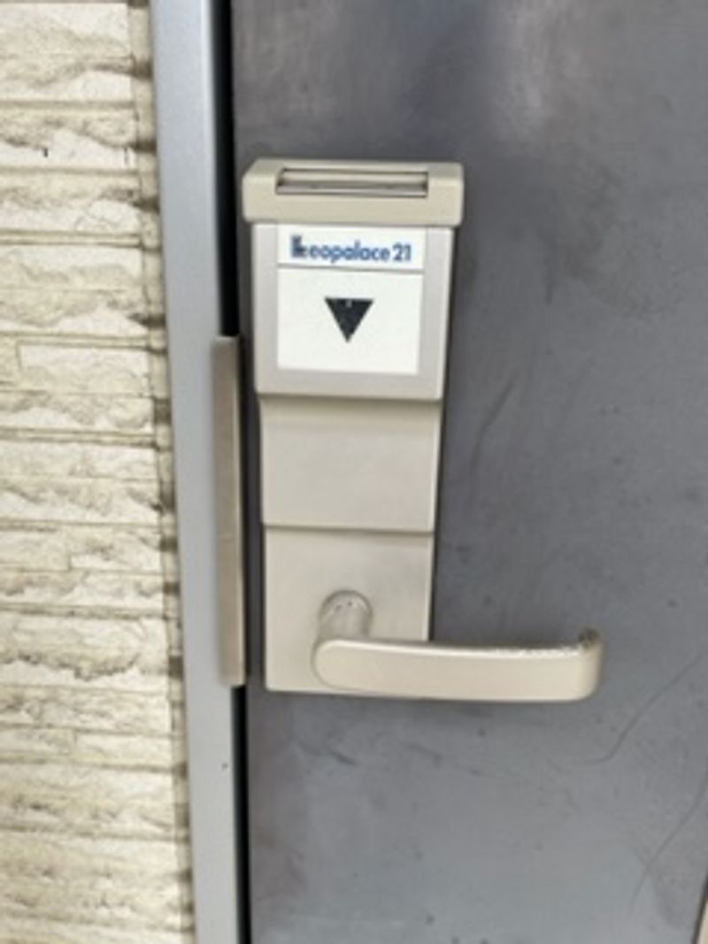 レオネクストステラ セキュリティ