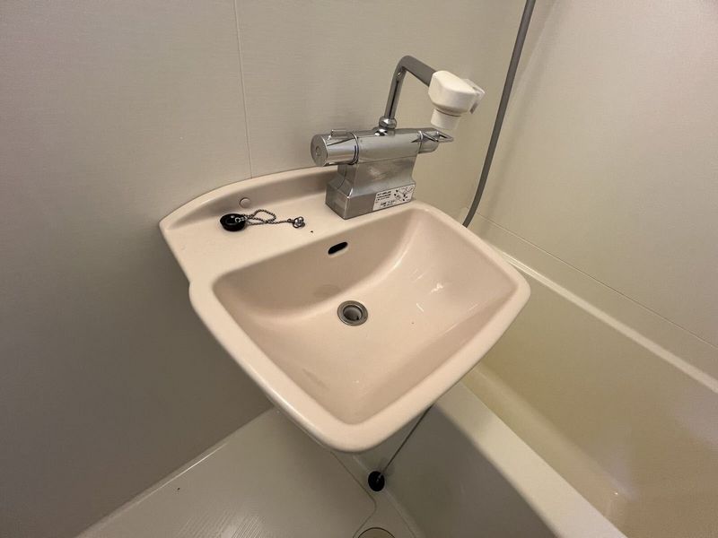 leopalace Passion Sink