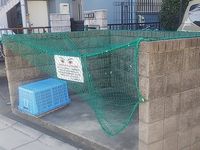 レオネクストアスカ 共用部分