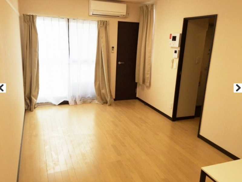 レオネクストニューコート 居間