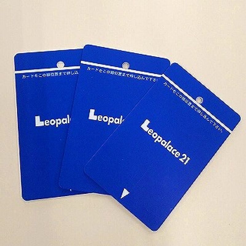 レオパレスＭａｒｙＰｉｎａｒ その他