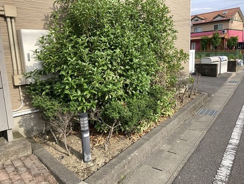 レオパレスｆｏｒｅｓｔａ１ 庭