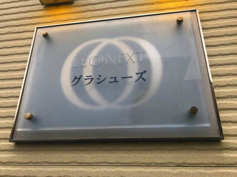 レオネクストグラシューズ その他