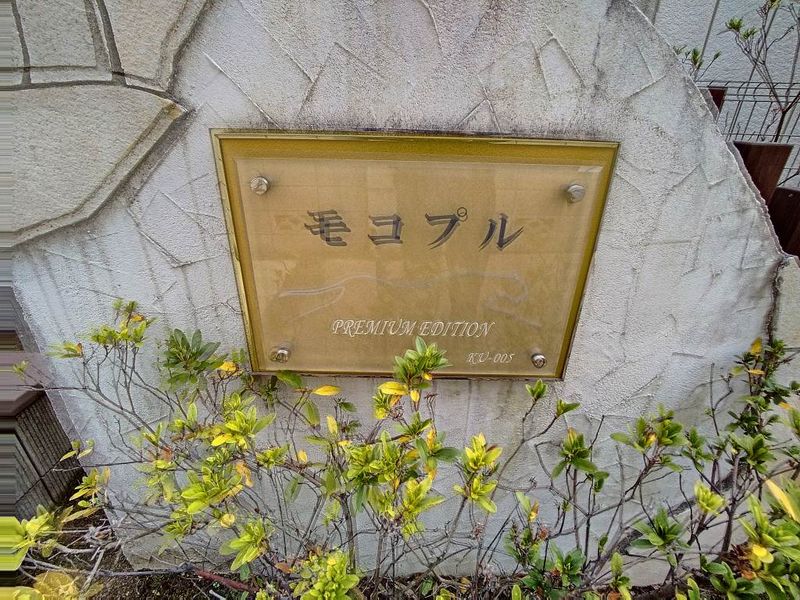 レオネクストモコプル その他