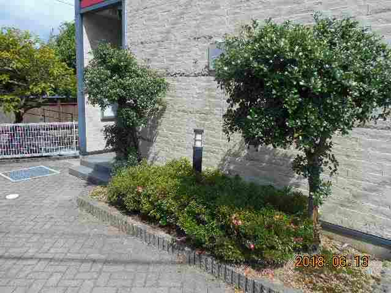 レオパレスアーレ　ハイ　ネセン 庭