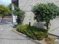 レオパレスアーレ　ハイ　ネセン 庭