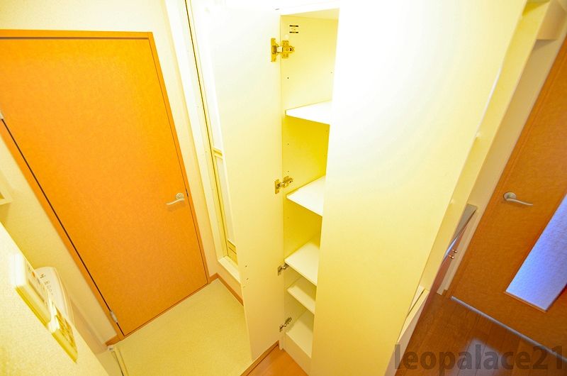 レオパレストレガッティ城山 収納