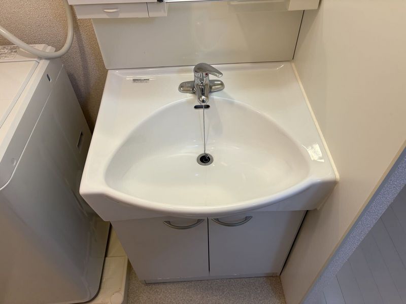 LEONEXT Musk Rose Sink