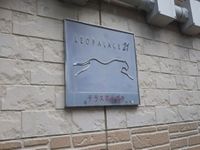 レオパレステラス花みずき その他