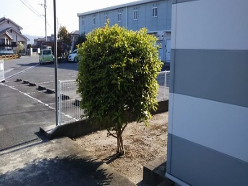 レオパレスわかみや その他