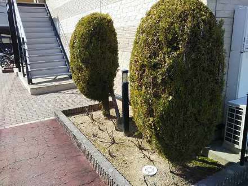 レオパレスＮｅＮｅ その他