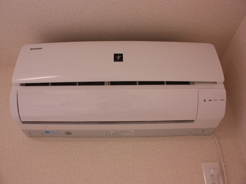 レオネクストドミールＣ その他