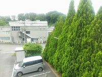 leopalace Clarabel View