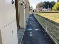 レオネクストＷＩＮ その他