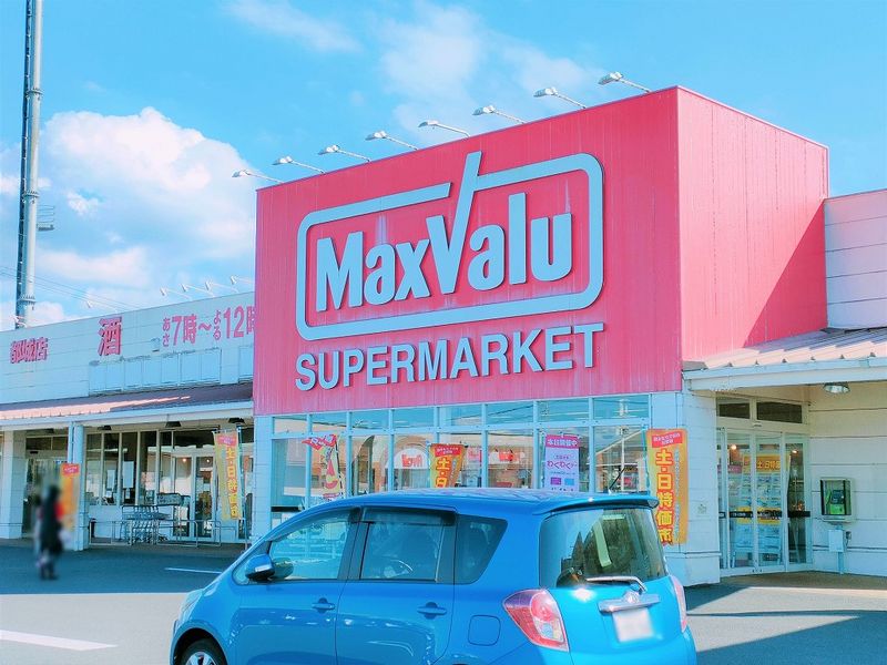 レオパレスネイティブⅤ 周辺環境
