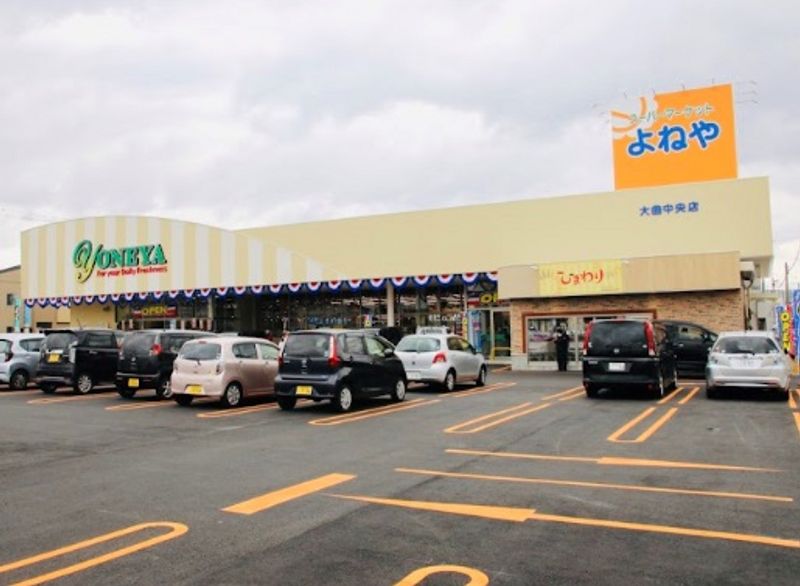 レオネクストＭ５５ 周辺環境
