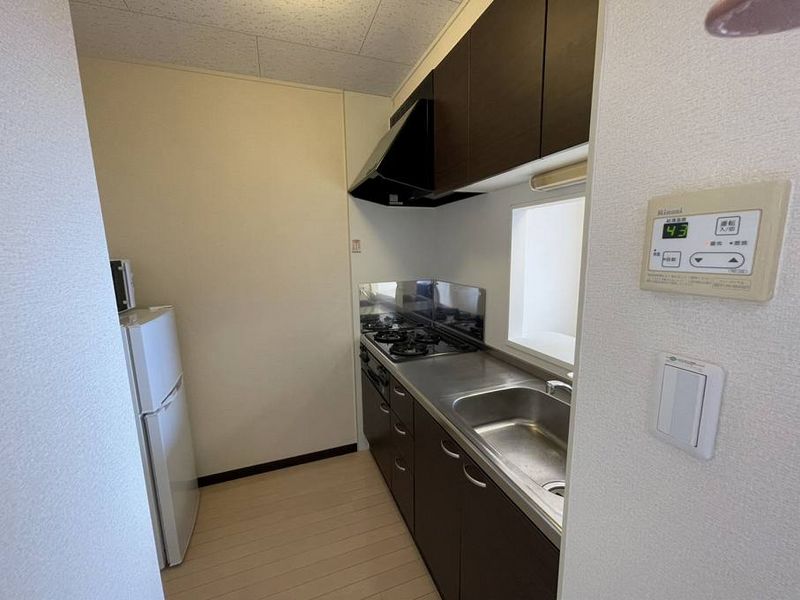 レオネクストグリーンパル野市Ⅲ キッチン