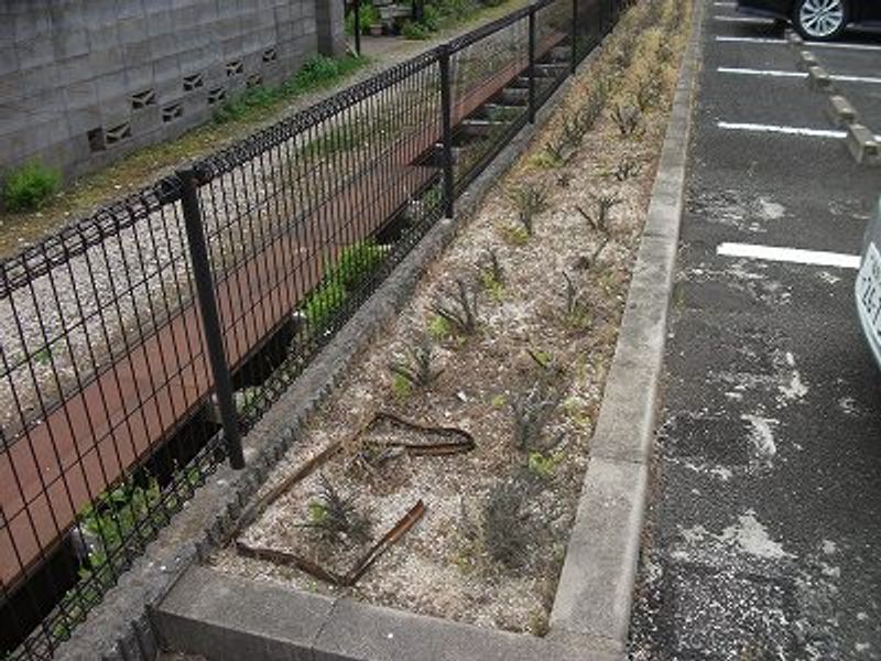 レオパレスコンフォール 庭