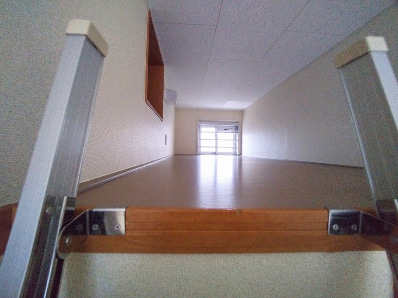 leopalace Win Leaf Khác