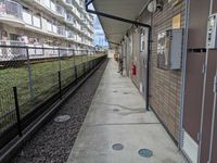 leopalace graceland 기타