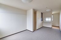 レオネクストカイトⅡ 居間