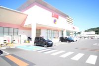 レオネクストバーサトル坂南 周辺環境