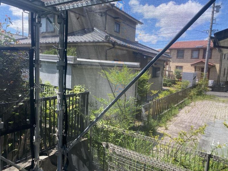 LEONEXT Comfort Shidami 视野