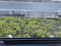 レオパレス彦根 バルコニー