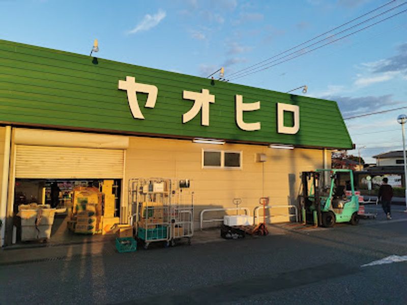 レオパレスさつき 周辺環境