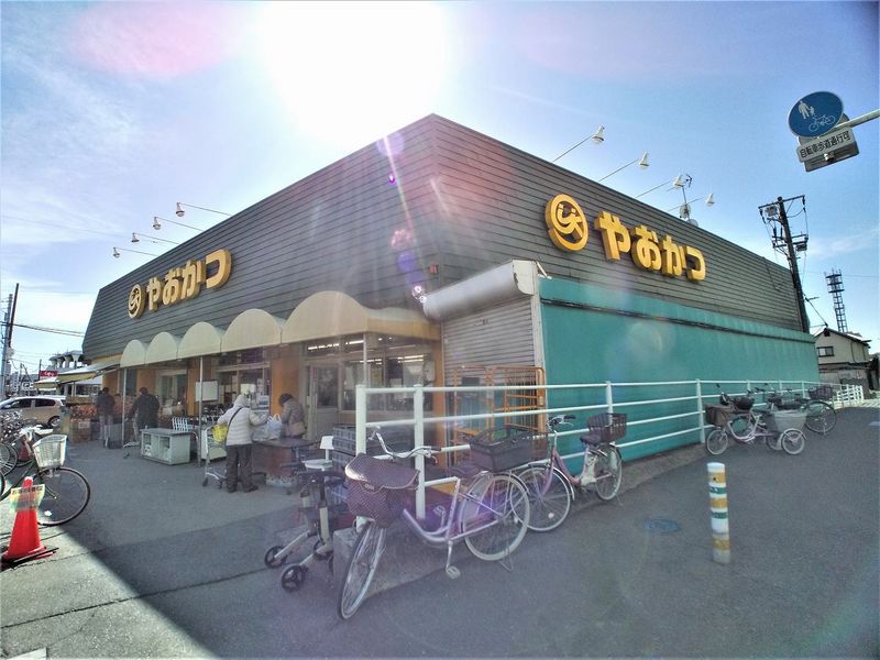 レオネクストウエストＰα 周辺環境