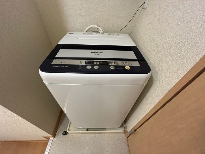 レオネクストモミの木 その他