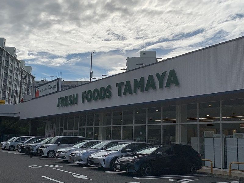 レオパレス谷中 周辺環境