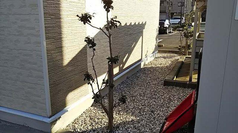 レオパレスＦｉｒｓｔ 庭