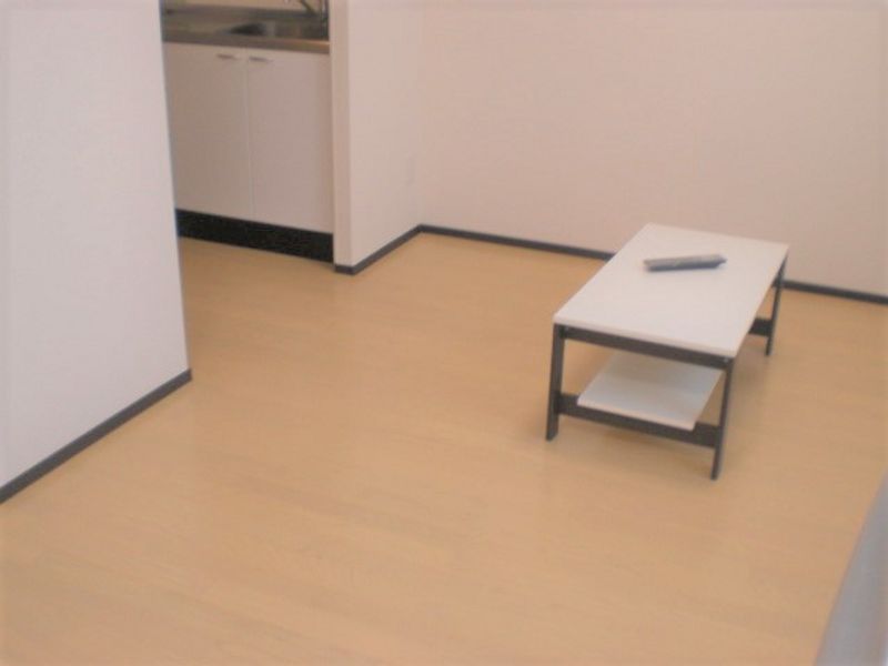 レオネクストエトワール要町 居間