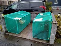 レオパレスパストラル 共用部分