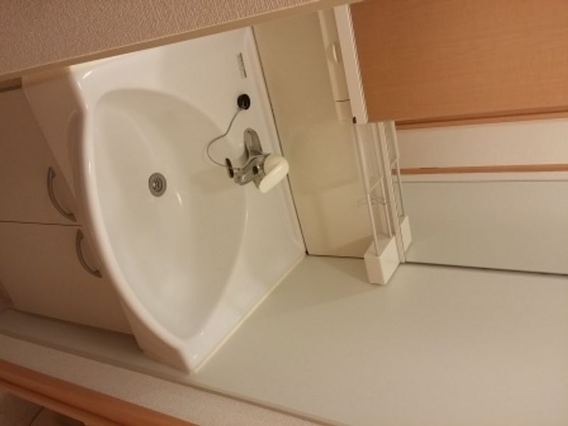 レオネクストリバーセブン 洗面台