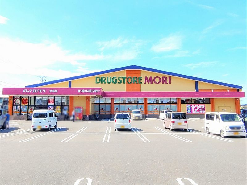 レオパレス夢見 周辺環境