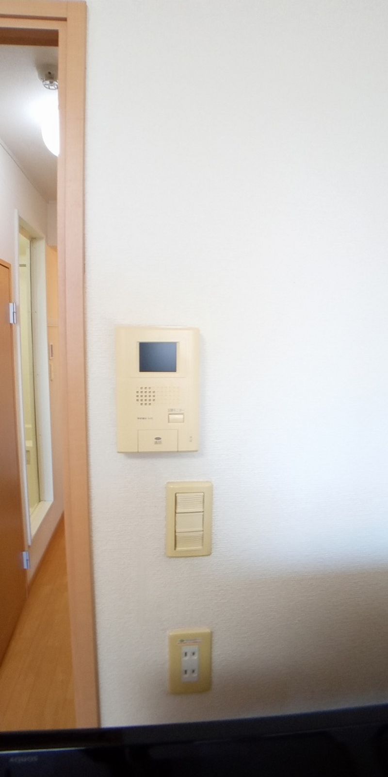 レオパレスルナ　ルミエール与野 セキュリティ