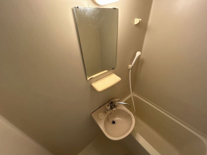 leopalace Hounan Sink