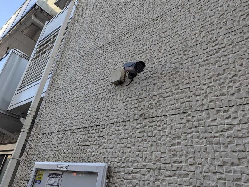 レオネクストルミニア 共用部分