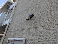 レオネクストルミニア 共用部分