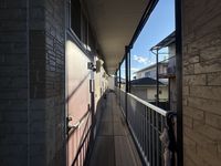 leopalace Sunflower 其他