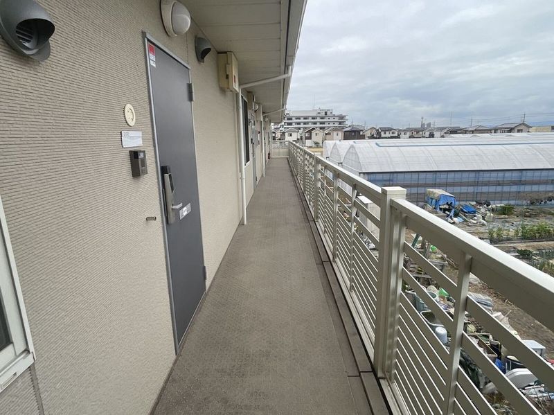 LEONEXT Socia Noto Other