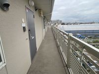 LEONEXT Socia Noto Other