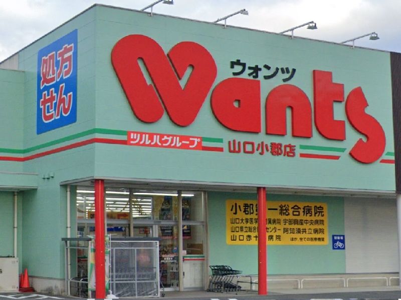 レオネクストエスポワールＴ　Ⅵ 周辺環境