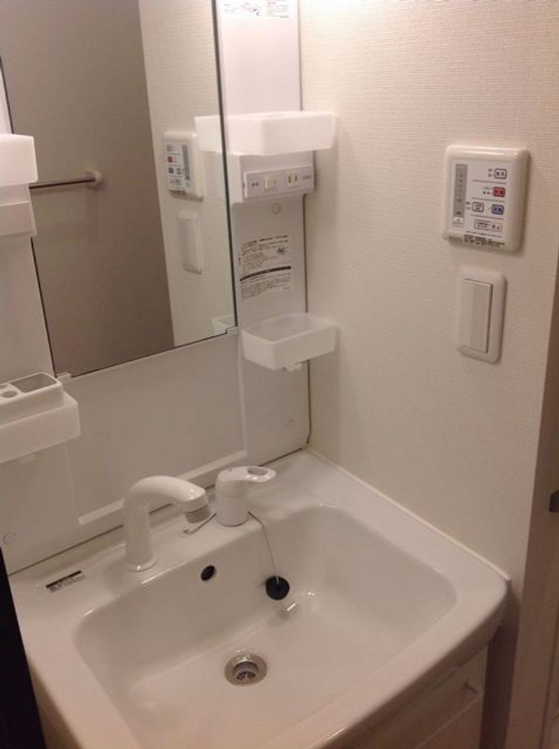 レオネクストおとがわⅡ 洗面所