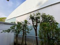 LEONEXT Welfare Tầm nhìn